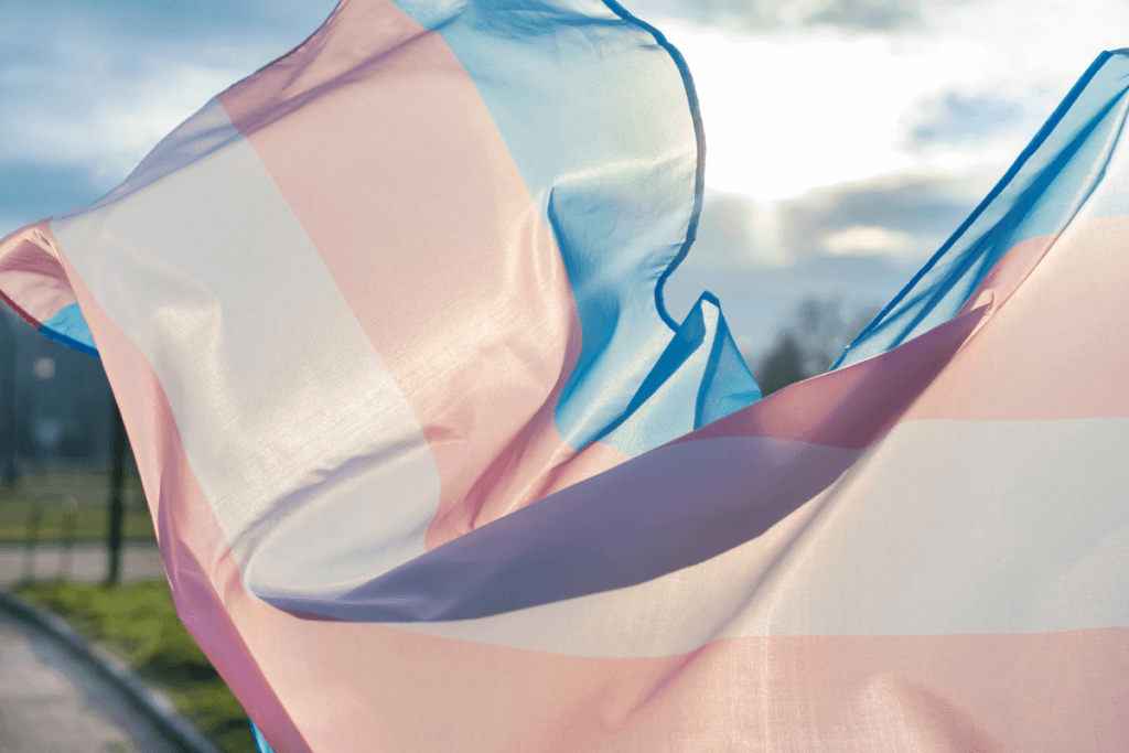 Bandeira Trans representando a diversidade na transição afirmativa.