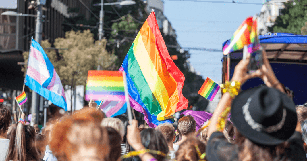 Grupo diverso celebrando o Orgulho LGBTQIAPN+ e construindo redes de apoio para proteção da saúde mental.