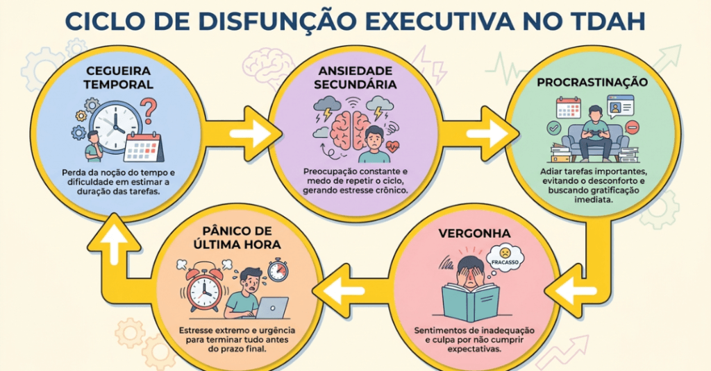 Infográfico sobre o ciclo de disfunção executiva e ansiedade no TDAH na neurodivergência e ansiedade.